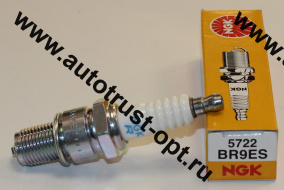 NGK Свеча зажигания BR9ES (5722) /съемная контактная гайка 2т