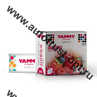 YAMMY Ароматизатор меловой Fresh Berries, баночка (56435)